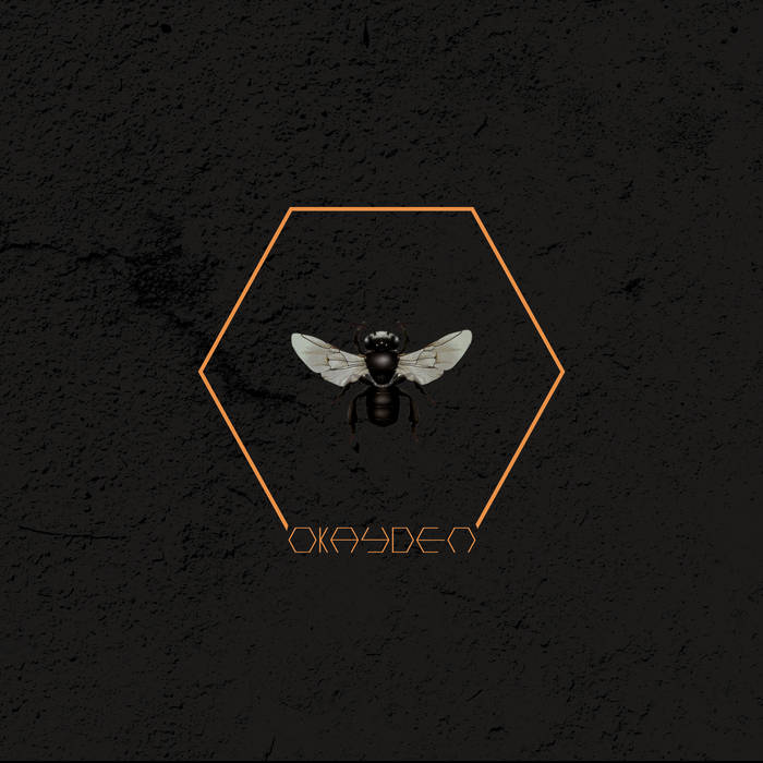 Okayden - Tetragonula Carbonaria