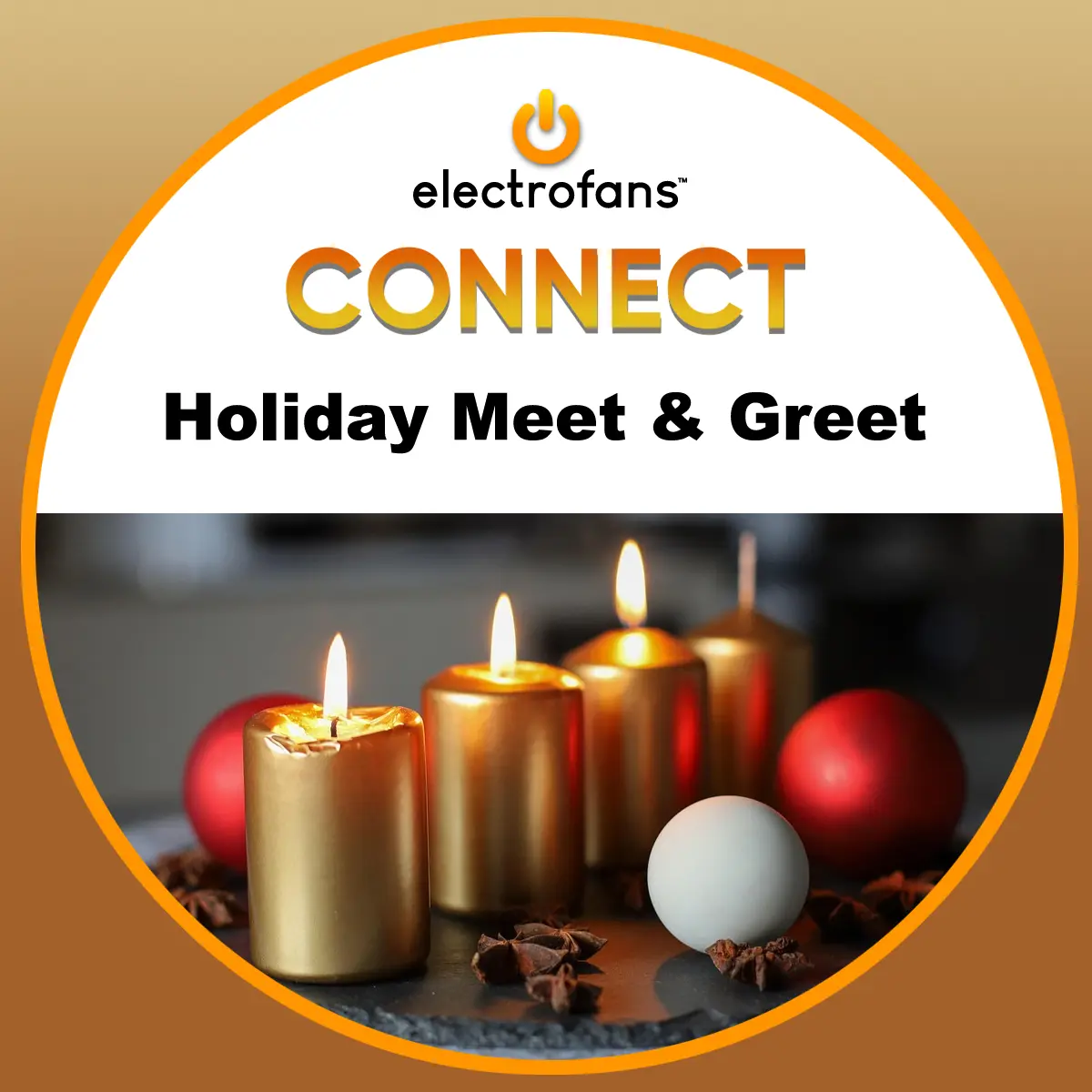 Electrofans Connect - Holiday Meet & Greet