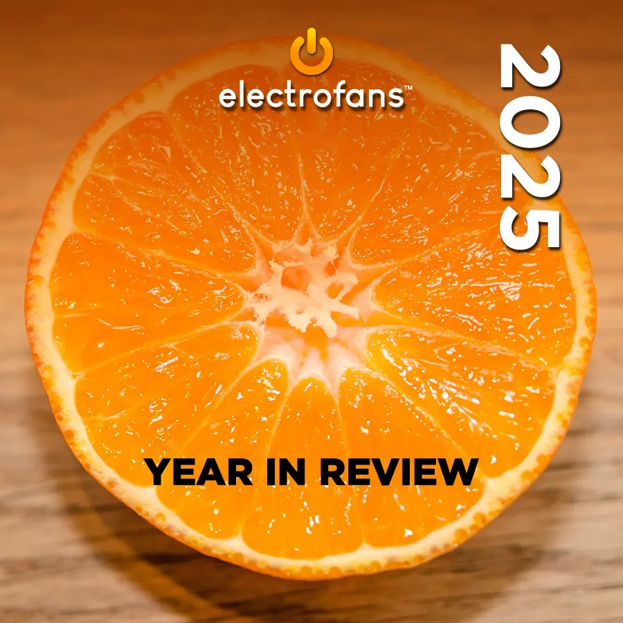 Electrofans 2025 Highlights