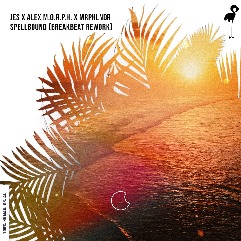 JES x Alex M.O.R.P.H. x MRPHLNDR - Spellbound (Breakbeat Remix)